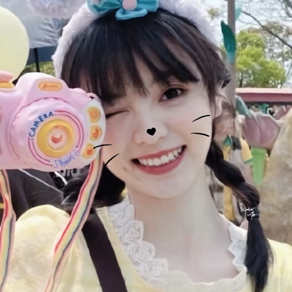 这里面有五只萌物