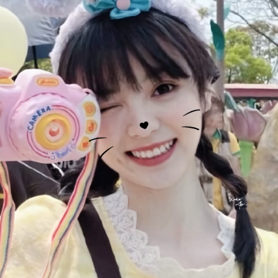 这里面有五只萌物