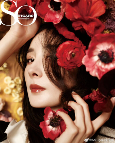 杨幂/花系列