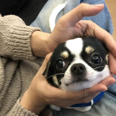 头像｜男生头像 常说人生若只如初见我在想到底什么样的羁绊才能让两颗陌生的心依偎在一起