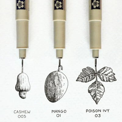 August Lamm
生活在康涅狄格州
凭一组针管笔手绘引18万人的围观喜欢
不同的针管笔的线条可以画出不一样效果
也可以根据画面的需要灵活使用针管笔绘画
