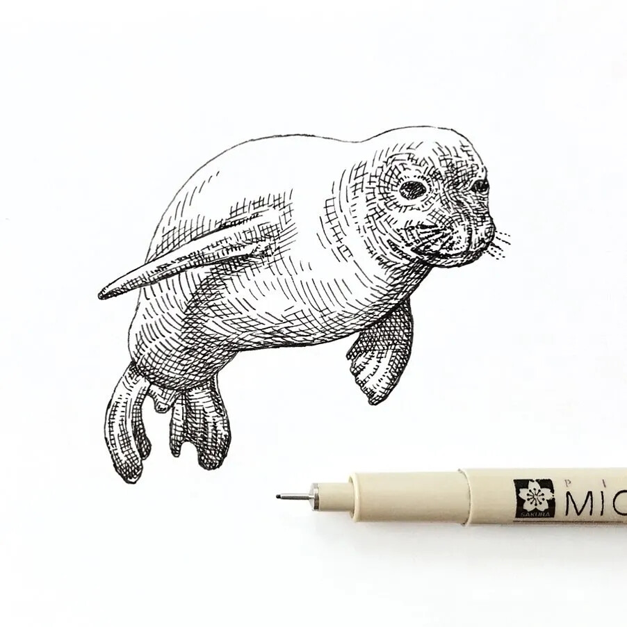 August Lamm
生活在康涅狄格州
凭一组针管笔手绘引18万人的围观喜欢
不同的针管笔的线条可以画出不一样效果
也可以根据画面的需要灵活使用针管笔绘画
