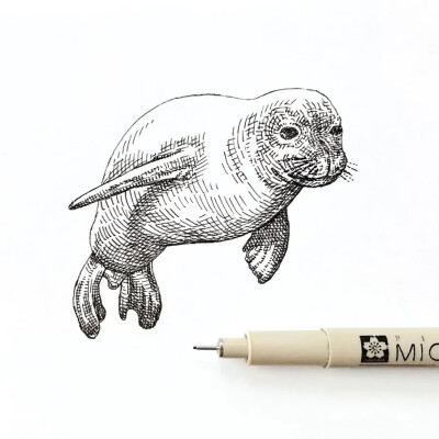 August Lamm
生活在康涅狄格州
凭一组针管笔手绘引18万人的围观喜欢
不同的针管笔的线条可以画出不一样效果
也可以根据画面的需要灵活使用针管笔绘画
