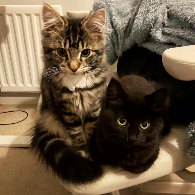 图源ks：偷喝汽水