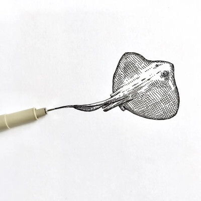 August Lamm
生活在康涅狄格州
凭一组针管笔手绘引18万人的围观喜欢
不同的针管笔的线条可以画出不一样效果
也可以根据画面的需要灵活使用针管笔绘画
