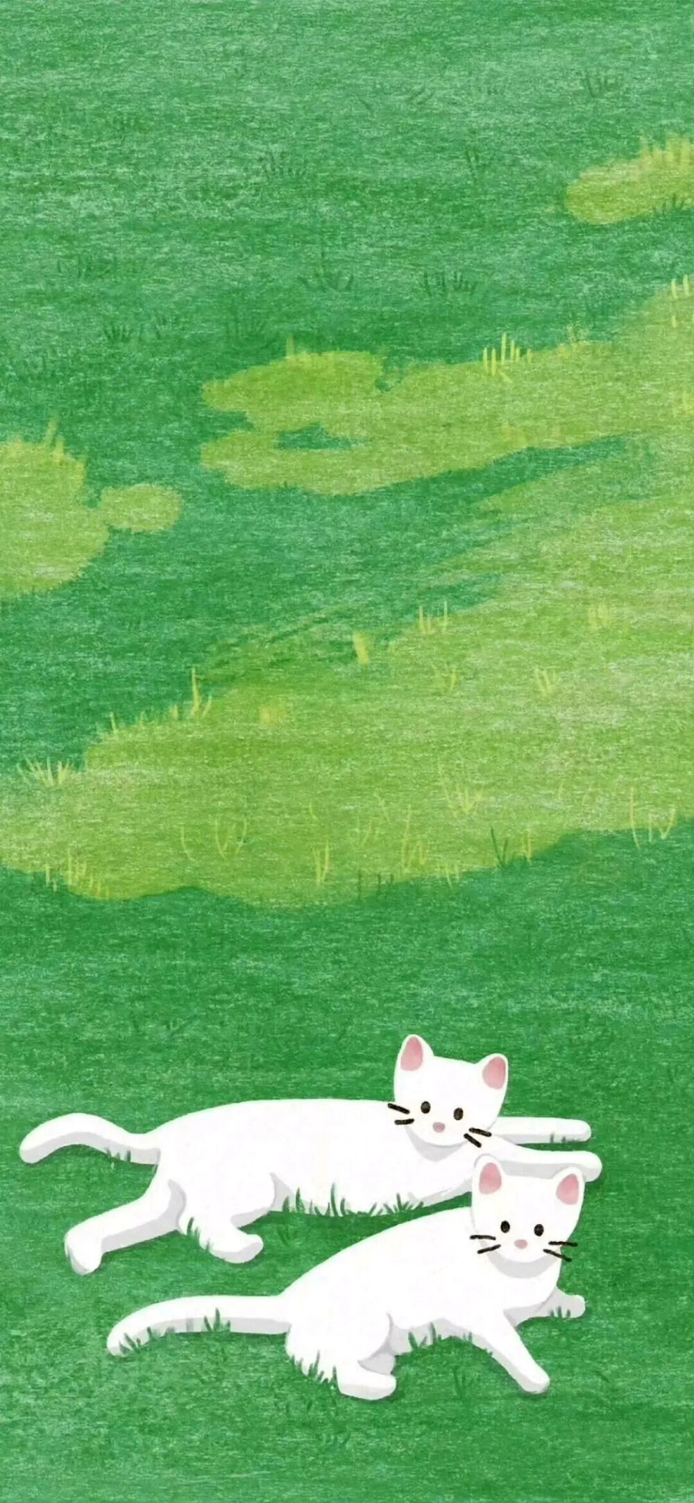 壁纸