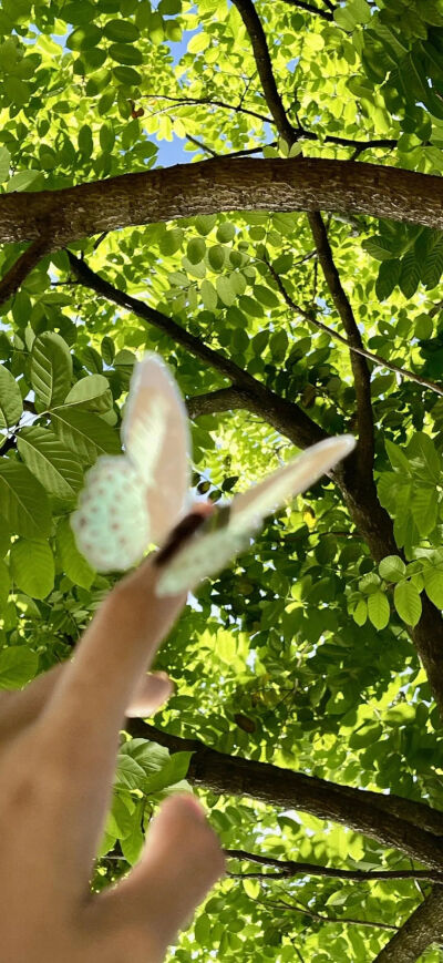 侵删