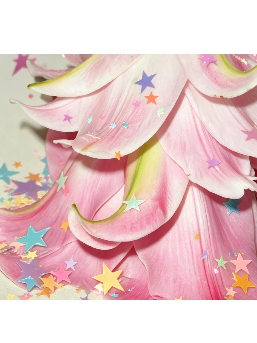 colorful/审美积累