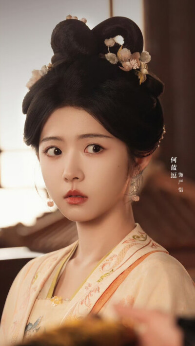 烧火丫头闹侯府 何蓝逗