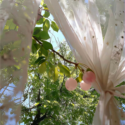 图源ks：偷喝汽水