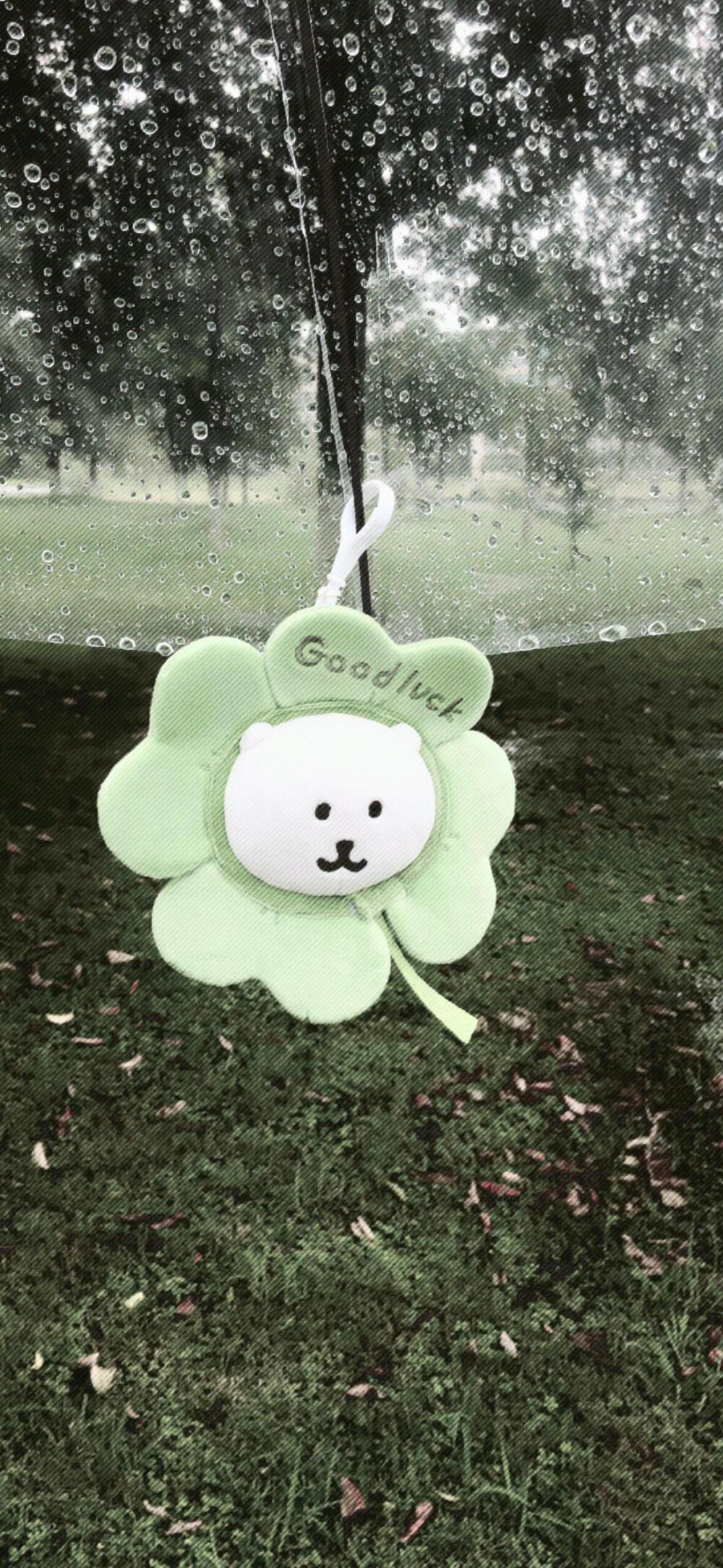 壁纸