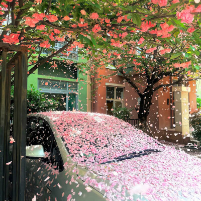 图源ks：偷喝汽水