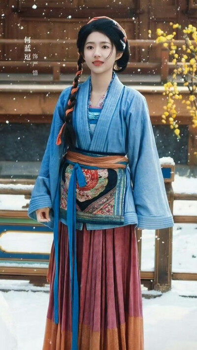 烧火丫头闹侯府 何蓝逗