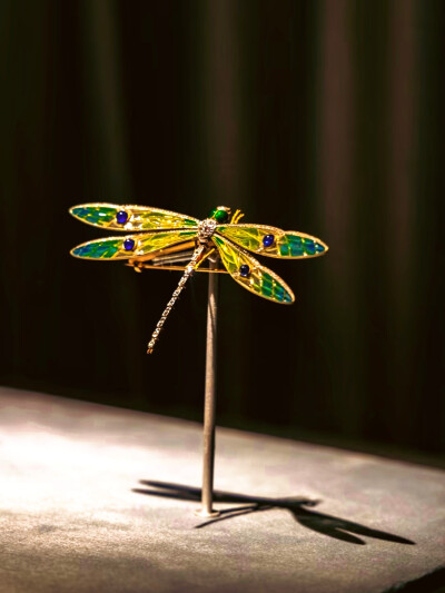 日常
塑料袋飞得比鸟还高