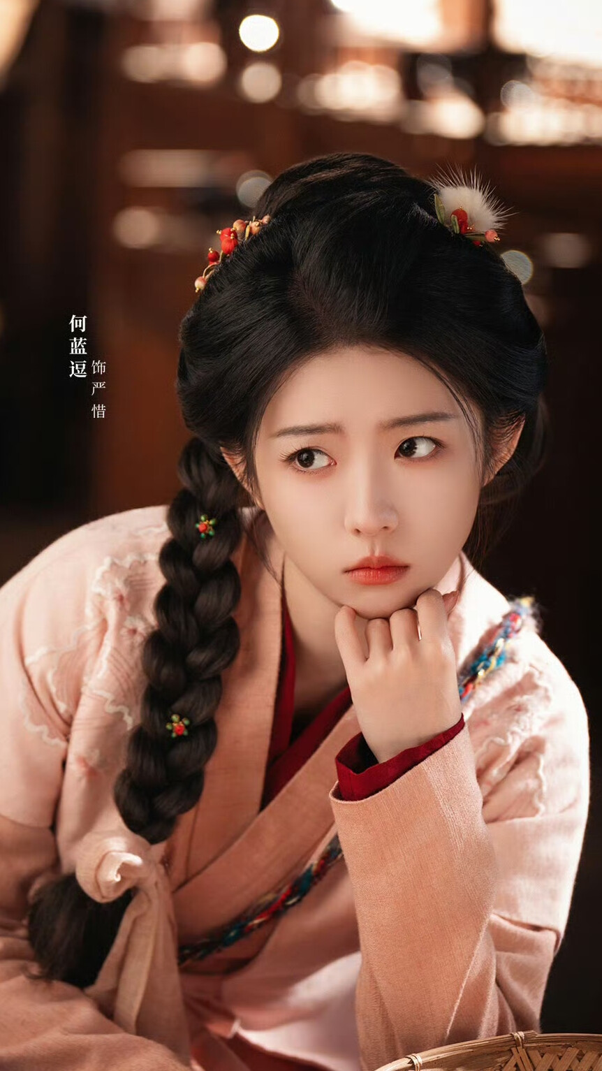 烧火丫头闹侯府 何蓝逗