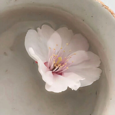 图源ks：偷喝汽水