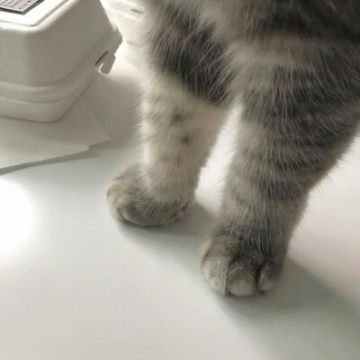 图源ks：偷喝汽水