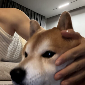 头像｜男生头像 细腻的心感受到是幸福还是悲伤