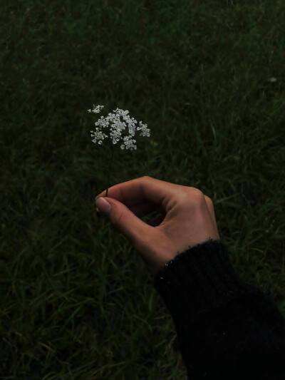 日常
塑料袋飞得比鸟还高