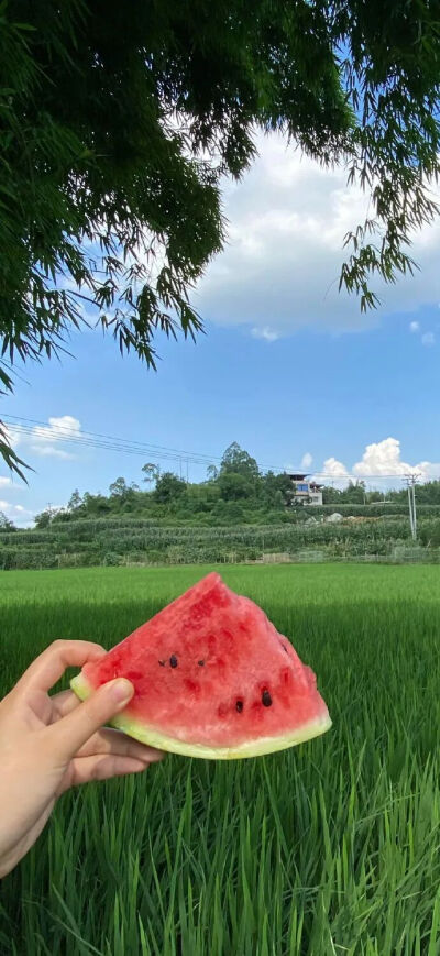 侵删