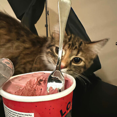 图源ks：偷喝汽水