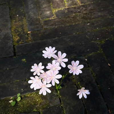 ‎#قدرات خارقة