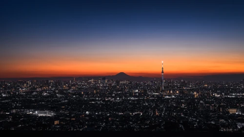 Photo by WPcoder
