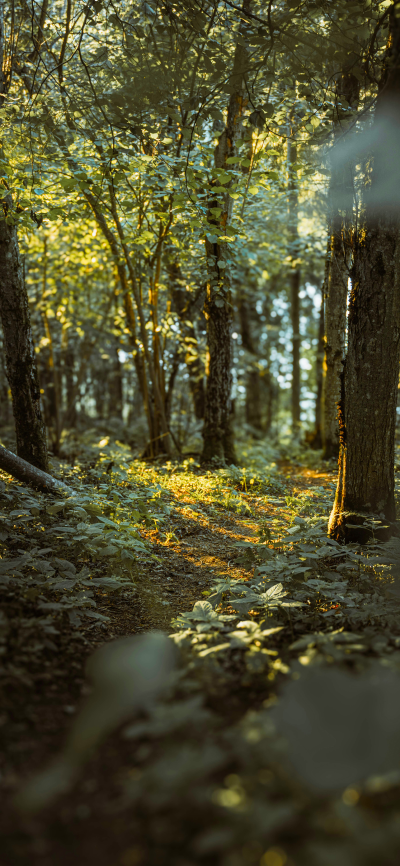 ‎#قدرات خارقة