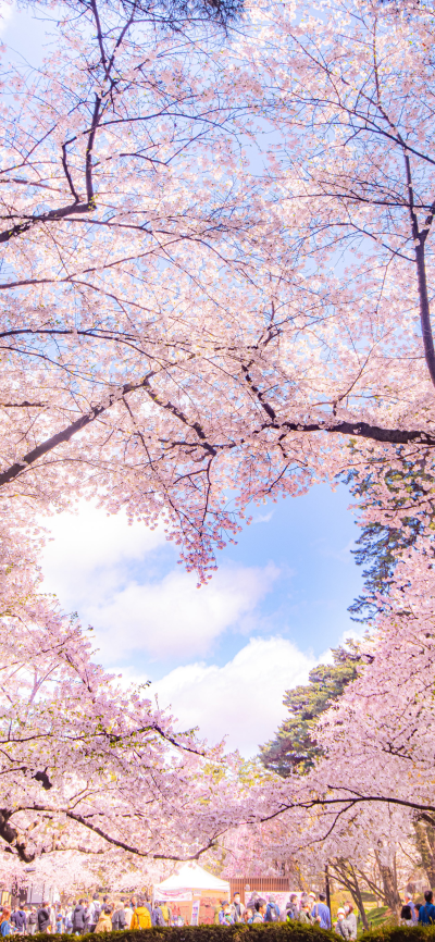 ‎#قدرات خارقة