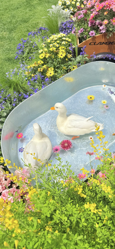 ‎#قدرات خارقة