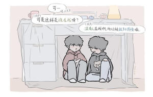 双高胎