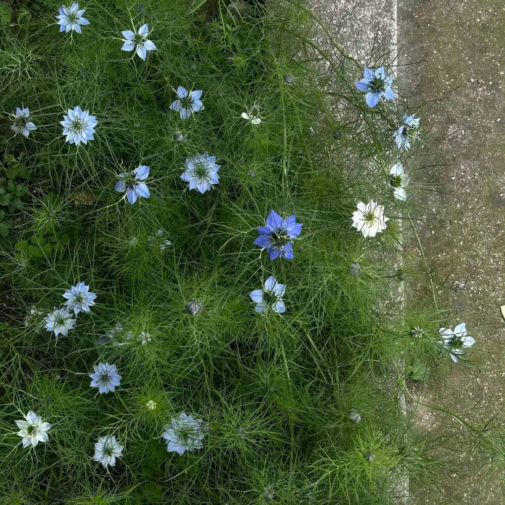 图源ks：偷喝汽水