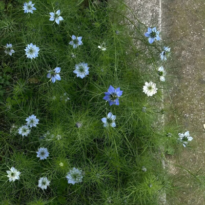 图源ks：偷喝汽水