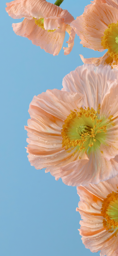 ‎#قدرات خارقة