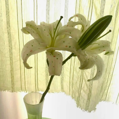 ‎#قدرات خارقة