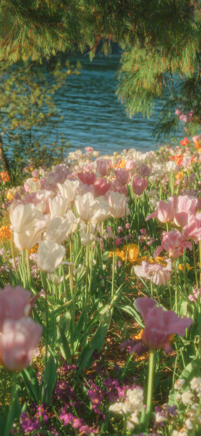 ‎#قدرات خارقة