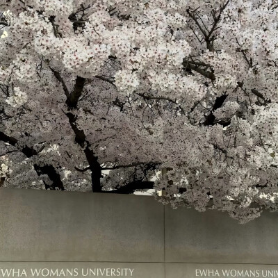 图源ks：偷喝汽水