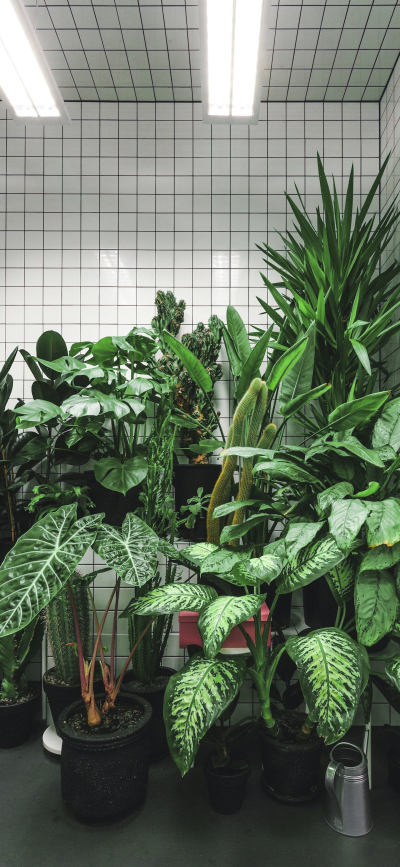 ‎#قدرات خارقة