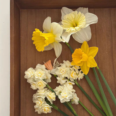 ‎#قدرات خارقة