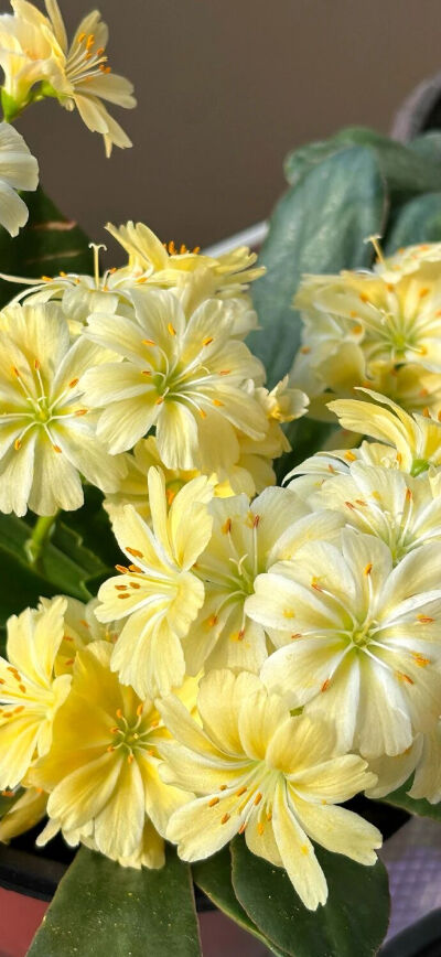 ‎#قدرات خارقة