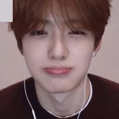 而我爱上一只猪