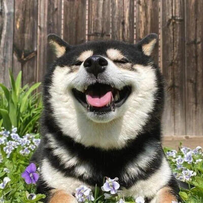 修勾