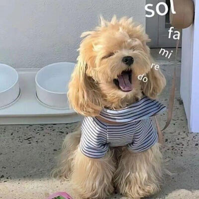 修勾