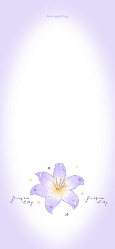 紫色百合花壁纸+套图
