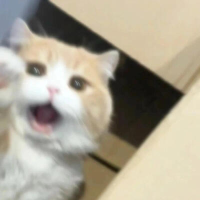 喵呜