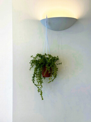 日常
2017/12/11/ （无意义）