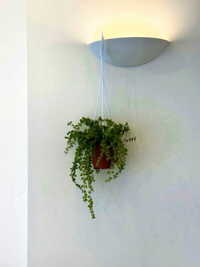 日常
2017/12/11/ （无意义）