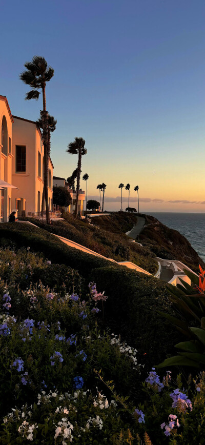 壁纸·图源微博