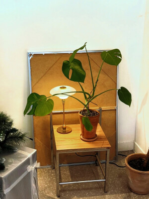 日常
2017/12/11/ （无意义）