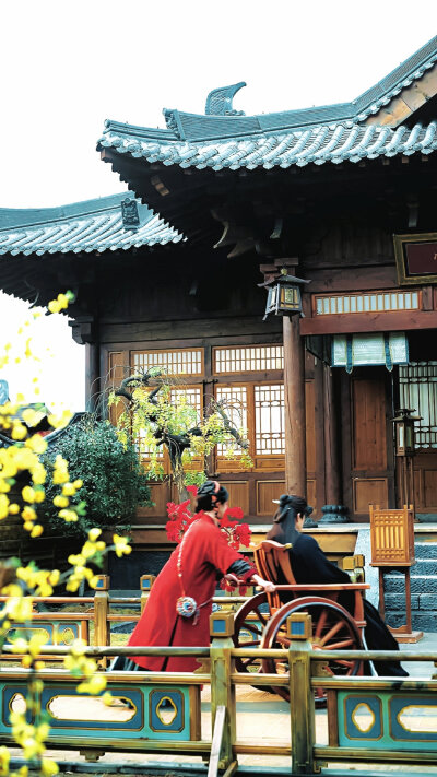 * 烧火丫头闹侯府 ​​​